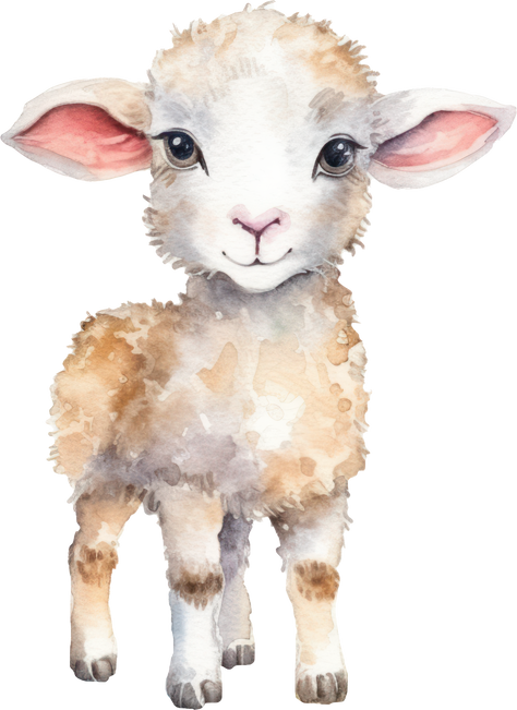 Cute Lamb Watercolor Illustration