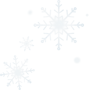 White Winter Snowflakes