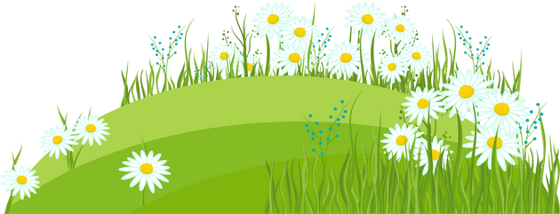 Green hill with daisies