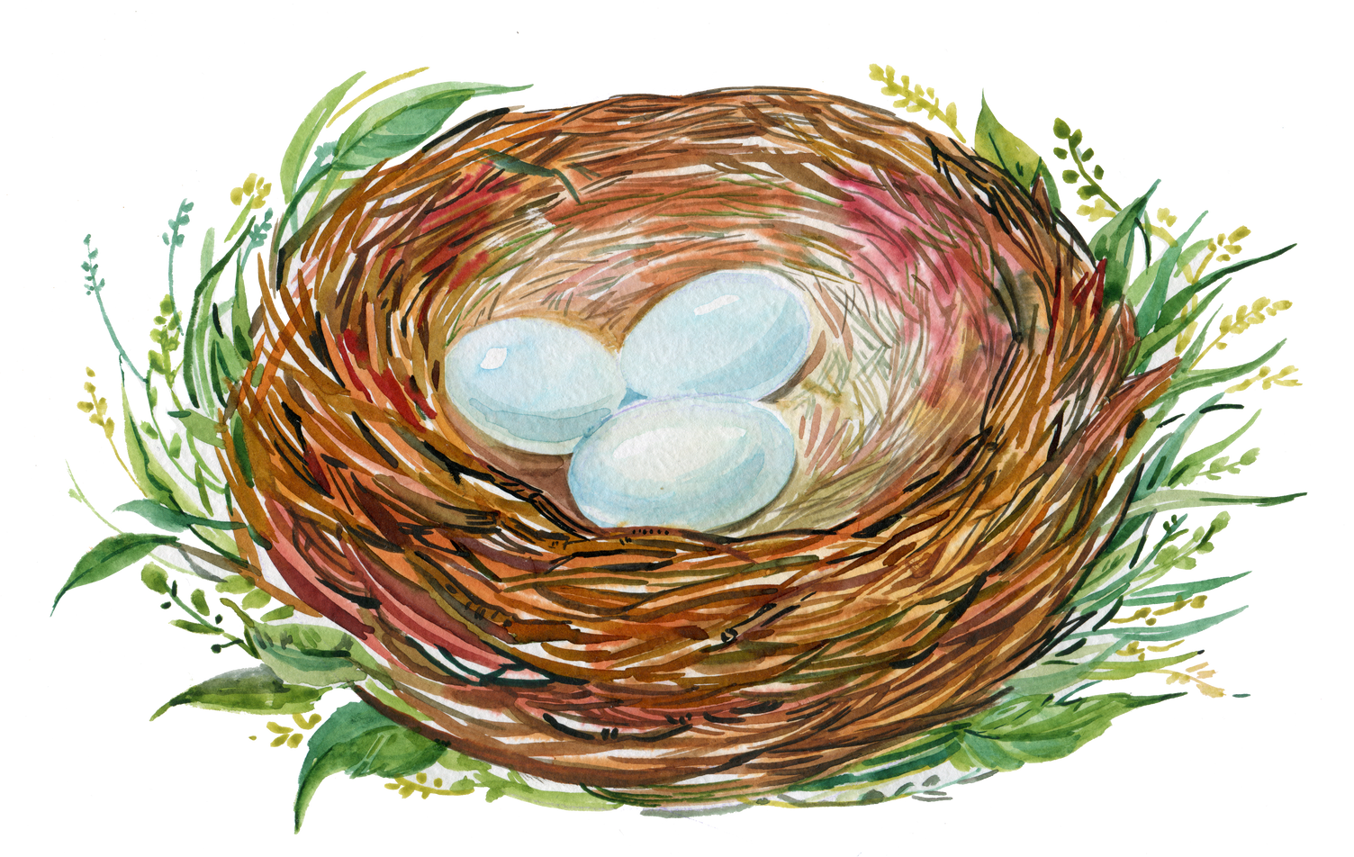 bird's nest watercolor