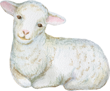 Watercolor illustration of a lamb.