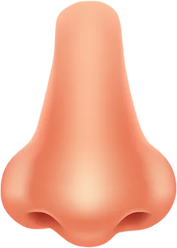 Human Nose Illustration